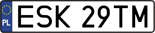ESK29TM