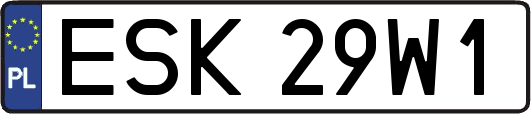 ESK29W1
