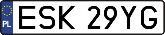 ESK29YG