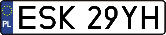 ESK29YH