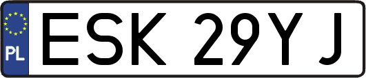 ESK29YJ