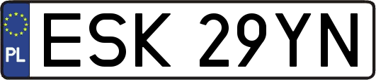 ESK29YN