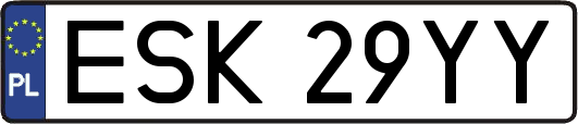 ESK29YY