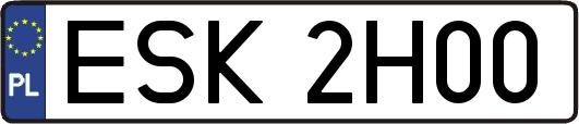 ESK2H00
