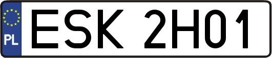 ESK2H01