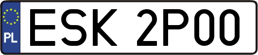 ESK2P00