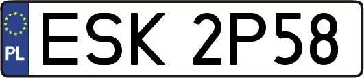 ESK2P58