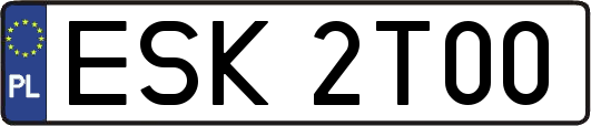 ESK2T00