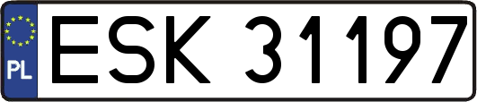 ESK31197
