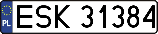 ESK31384