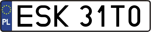 ESK31T0