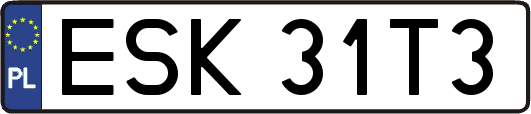 ESK31T3