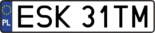 ESK31TM