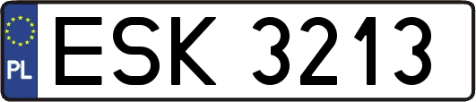 ESK3213