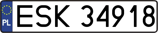 ESK34918