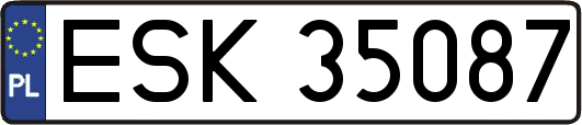 ESK35087