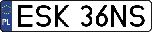 ESK36NS