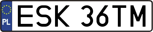 ESK36TM
