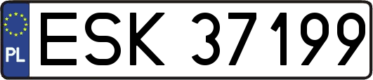 ESK37199