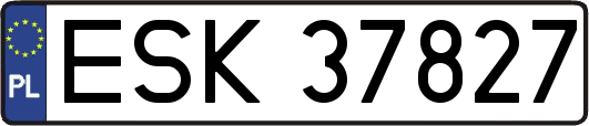 ESK37827