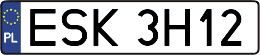 ESK3H12