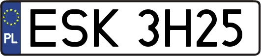 ESK3H25