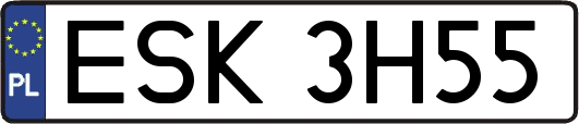 ESK3H55