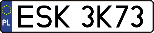 ESK3K73