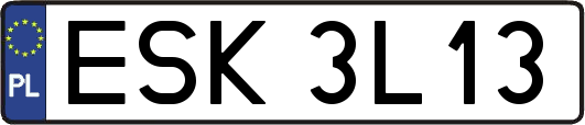 ESK3L13