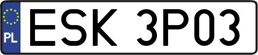 ESK3P03