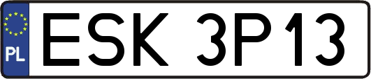 ESK3P13