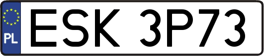 ESK3P73