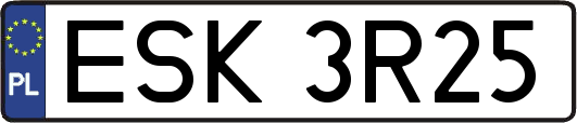 ESK3R25