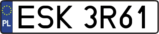 ESK3R61