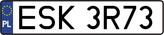 ESK3R73