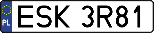 ESK3R81
