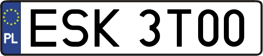 ESK3T00