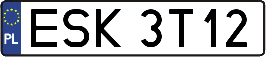 ESK3T12