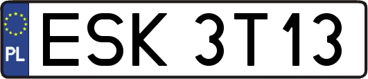 ESK3T13
