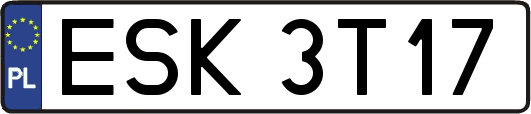 ESK3T17