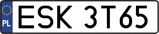 ESK3T65