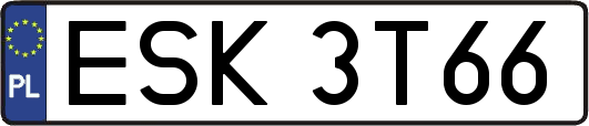 ESK3T66