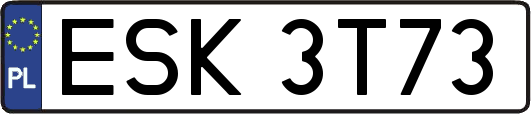 ESK3T73