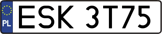 ESK3T75