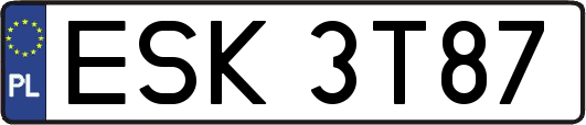 ESK3T87