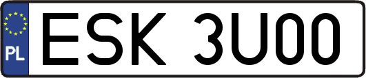 ESK3U00