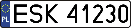 ESK41230