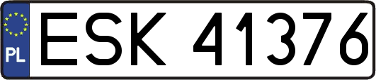 ESK41376