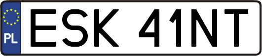 ESK41NT
