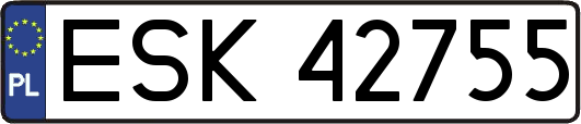 ESK42755